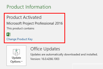 Microsoft Project Professional 2016 Product Key