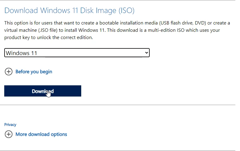 Download Windows 11 ISO (Trial Version)