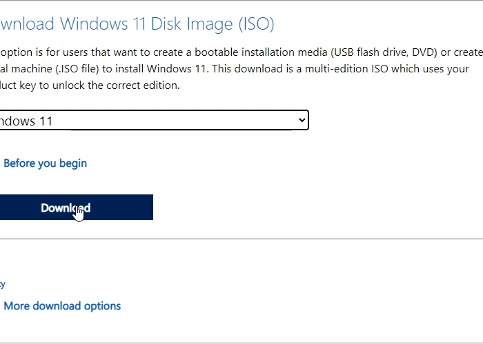 Download Windows 11 iso file