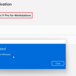 Windows 11 Pro for Workstations Product Key Free