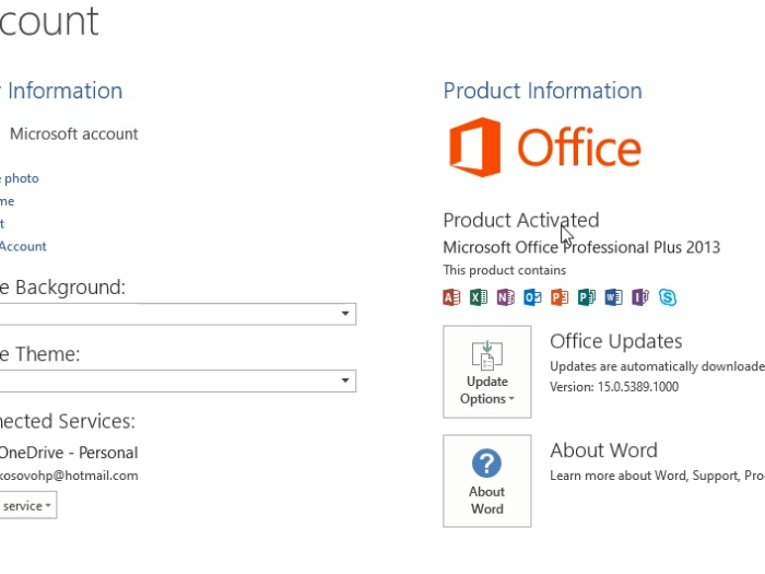 Download Microsoft Office Professional Plus 2013 64 Bit