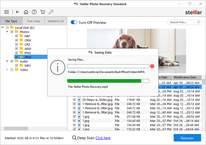 How to Recover Deleted Photos from Micro SD Card?